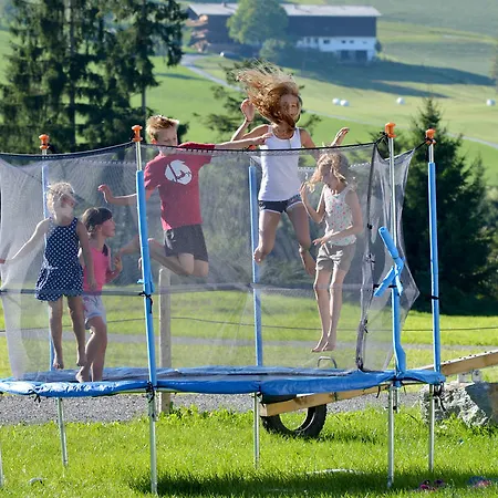 Hinterebenhub Apartmán Hopfgarten im Brixental
